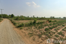 Land for sale in Nong No, Khon Kaen