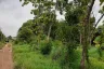 Land for sale in Wang Lum, Phichit