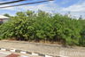Land for sale in Uthai Mai, Uthai Thani