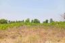 Land for sale in Den Yai, Chainat