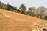 Land for sale in Phon, Kalasin