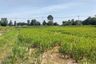 Land for sale in Ban Phai, Khon Kaen