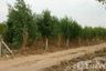 Land for sale in Nai Mueang, Khon Kaen