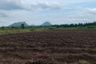 Land for sale in Pak Chong, Ratchaburi
