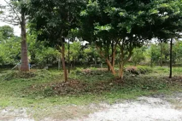 Land for sale in Tha Muang, Kanchanaburi