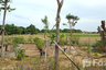 Land for sale in Tha Muang, Kanchanaburi