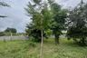 Land for sale in Rang Bua, Ratchaburi