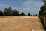 Land for sale in Ban Lueam, Udon Thani