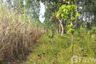 Land for sale in Bua Khao, Kalasin