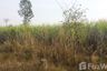 Land for sale in Bua Khao, Kalasin
