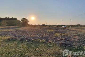 Land for sale in Pa Tan, Lopburi