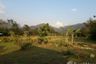 Land for sale in Thung Chang, Nan