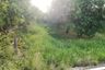 Land for sale in Wang Kai Thuean, Chainat