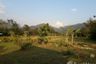 Land for sale in Thung Chang, Nan