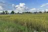 Land for sale in Daeng Yai, Khon Kaen