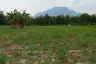Land for sale in Mae Na, Chiang Mai