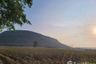 Land for sale in Bo Pla Thong, Nakhon Ratchasima