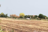Land for sale in Si Samran, Suphan Buri
