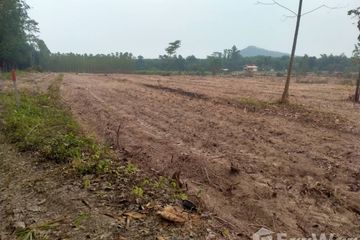 Land for sale in Nong Yai, Chonburi