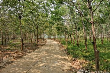 Land for sale in Chiang Klom, Loei