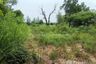 Land for sale in Na Wang Hin, Chonburi