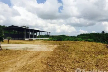 Land for sale in Makham Khu, Rayong