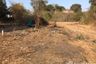 Land for sale in Nong Pling, Nakhon Sawan