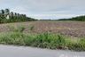 Land for sale in Khlong Krabue, Nakhon Si Thammarat