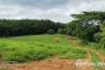 Land for sale in Mae Khao Tom, Chiang Rai