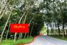Land for sale in Nong Taphan, Rayong