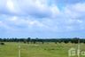 Land for sale in Nong Ki, Prachin Buri