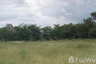 Land for sale in Tha Chang, Saraburi