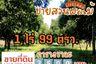 Land for sale in Nong Taphan, Rayong