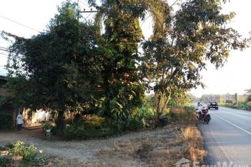 Land for sale in Si Dong Yen, Chiang Mai