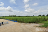 Land for sale in Ko Chan, Chonburi
