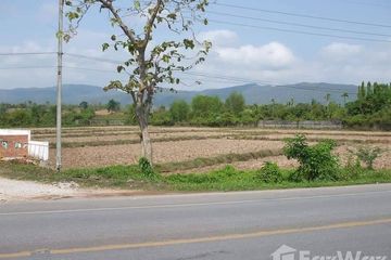 Land for sale in Huai Sak, Chiang Rai
