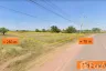 Land for sale in Na Klang, Nakhon Ratchasima