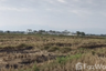 Land for sale in Wiang, Chiang Rai
