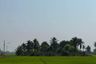 Land for sale in Bueng Bon, Pathum Thani