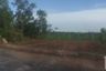 Land for sale in Bueng Ba, Pathum Thani