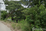 Land for sale in Ton Thong, Lamphun