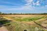 Land for sale in Bang Khanak, Chachoengsao