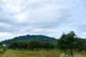 Land for sale in Trok Nong, Chanthaburi