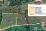 Land for sale in Nong Ngu Lueam, Nakhon Ratchasima