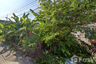 Land for sale in Bang Prok, Pathum Thani