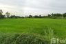 Land for sale in Nong Krot, Nakhon Sawan