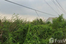 Land for sale in Khlong Sam, Pathum Thani