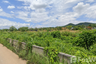 Land for sale in Tha Sut, Chiang Rai