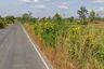 Land for sale in Si Lako, Nakhon Ratchasima