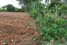 Land for sale in Nong Phrong, Prachin Buri